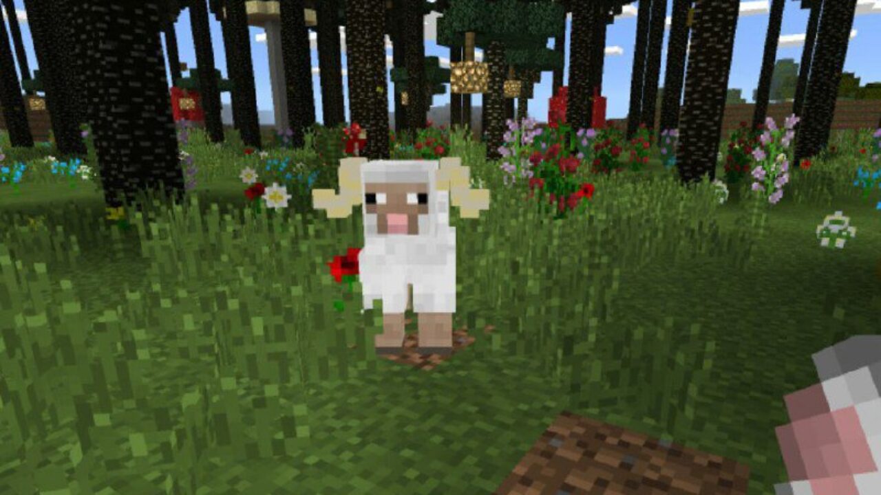 Sheep from Twilight Forest Map for Minecraft PE