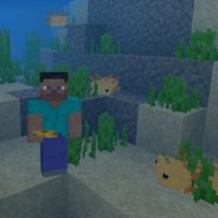 Axolotl Mod for Minecraft PE