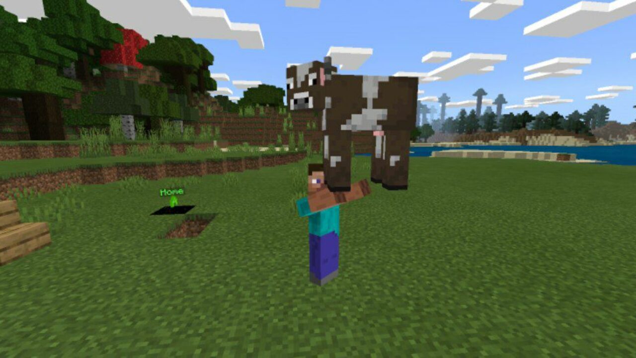 Carry on Cow from Sit Mod for Minecraft PE