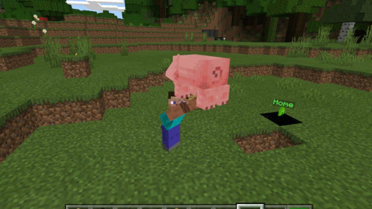 Carry on Pig from Sit Mod for Minecraft PE