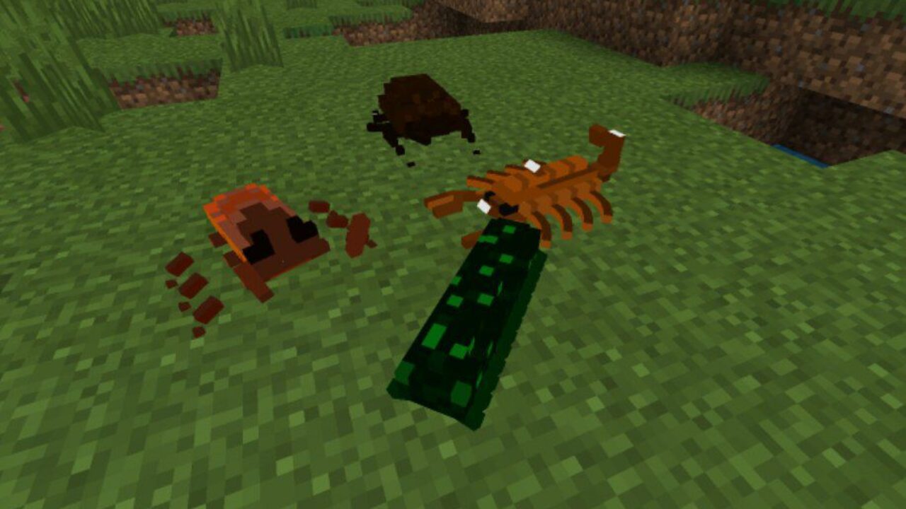 Cockroach Mod for Minecraft PE