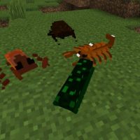 Cockroach Mod for Minecraft PE