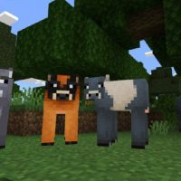 Cow Mod for Minecraft PE