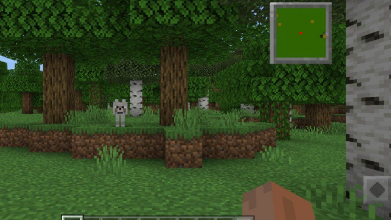 Features from Minimap Mod for Minecraft PE