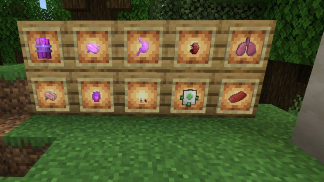 Items from Surgery Mod for Minecraft PE