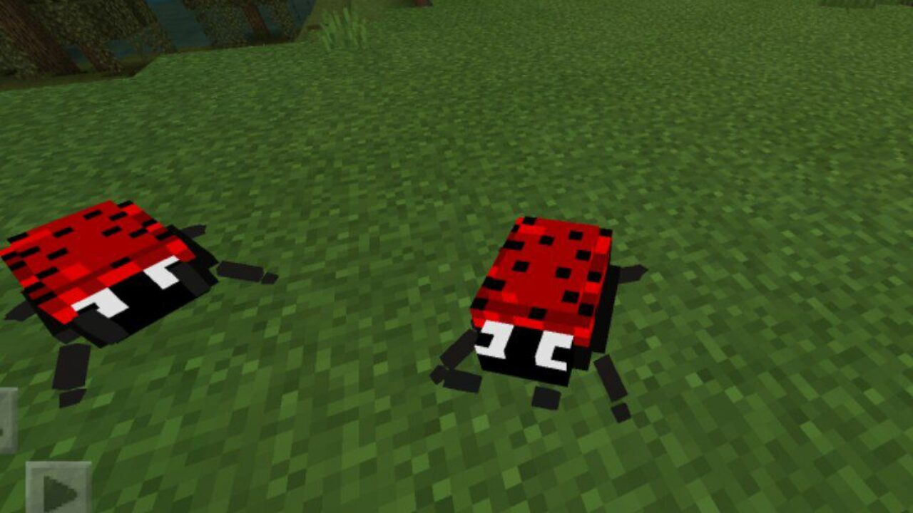 Lady Bugs from Cockroach Mod for Minecraft PE