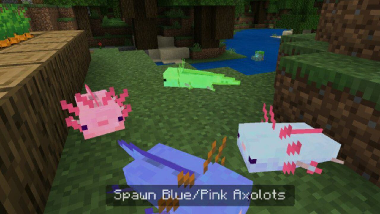 More Colours from Axolotl Mod for Minecraft PE