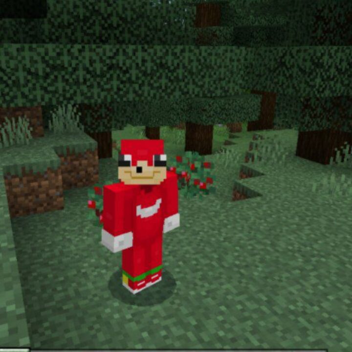 Skins Mod for Minecraft PE