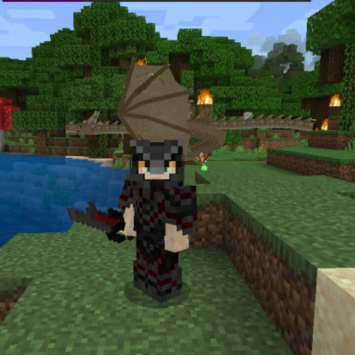 Skyrim Mod for Minecraft PE