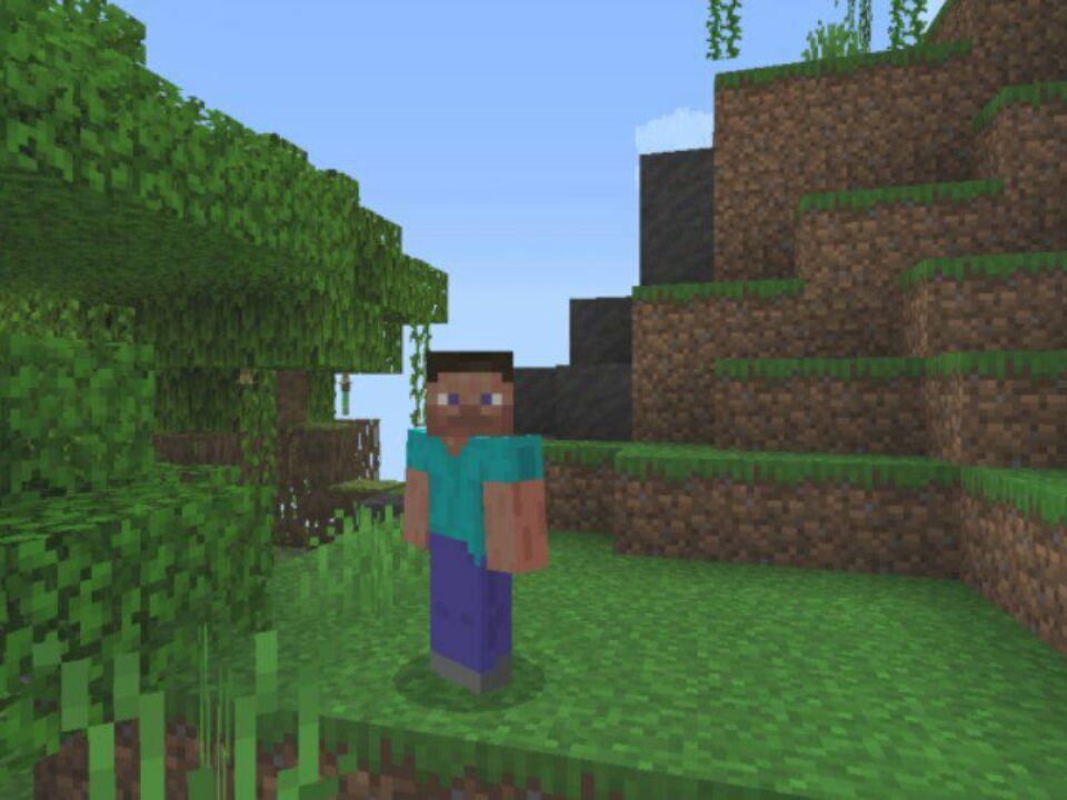 Sodium Mod for Minecraft PE