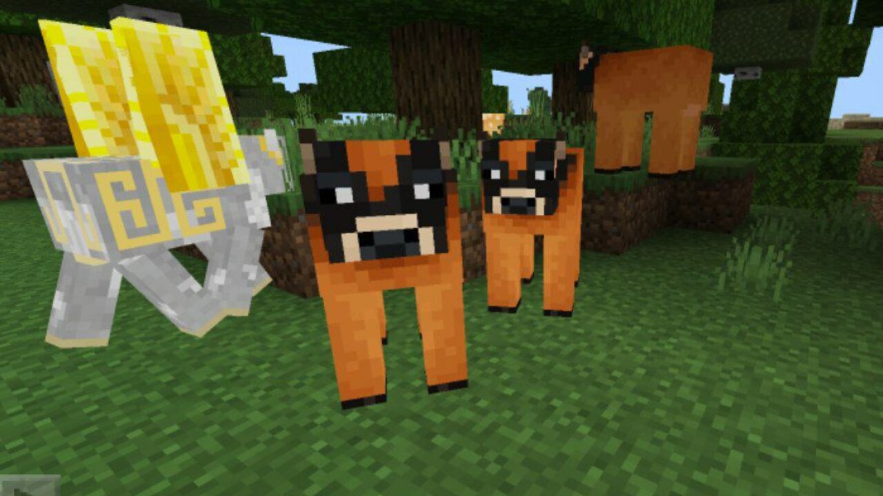 Sunset Cow from Cow Mod for Minecraft PE