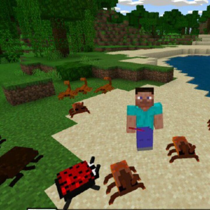 Bugs Mod for Minecraft PE