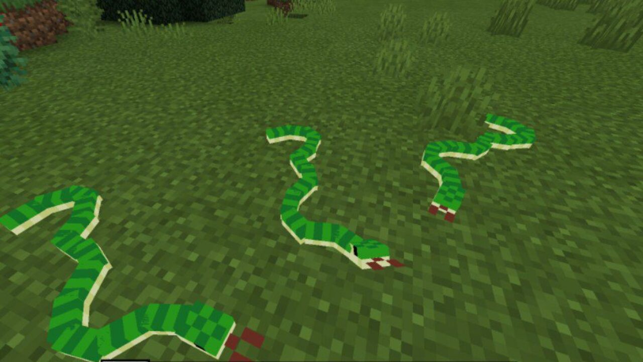 Green Colour from Snakes Mod for Minecraft PE