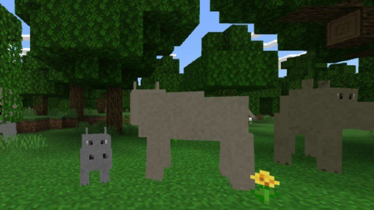 Hippos from Elephant Mod for Minecraft PE