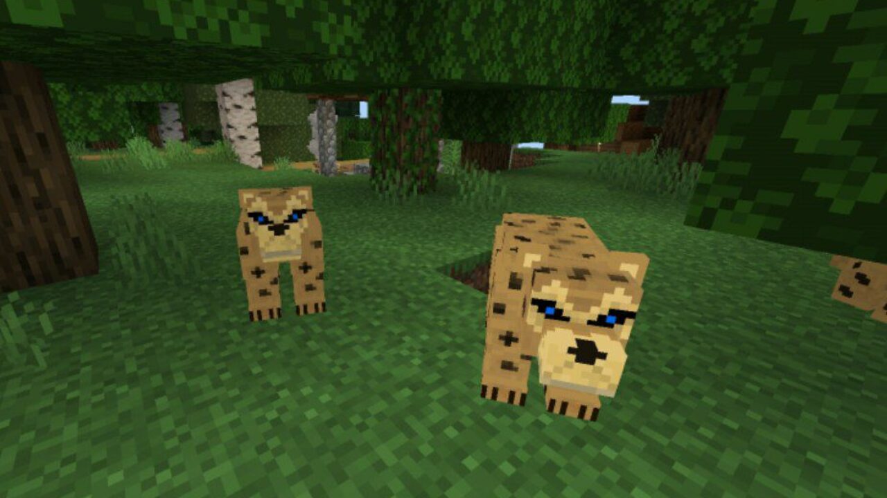 Leopard from Lion Mod for Minecraft PE