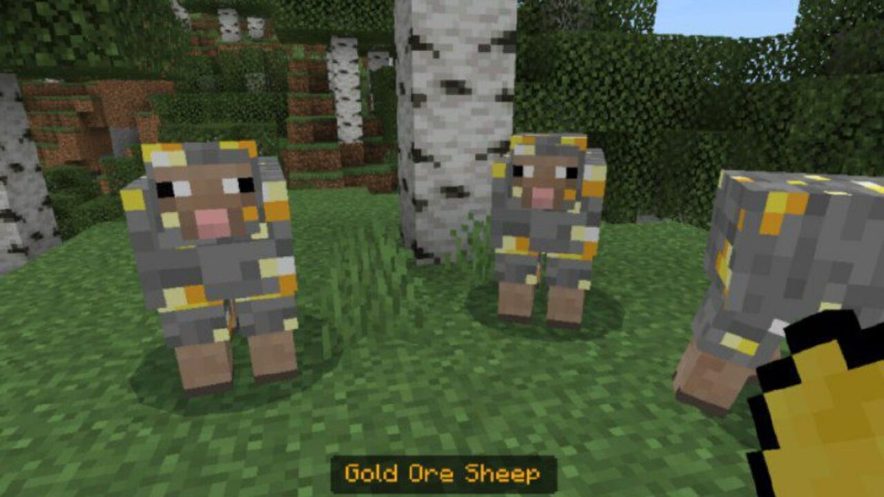 Gold Ore from Sheeps Mod for Minecraft PE