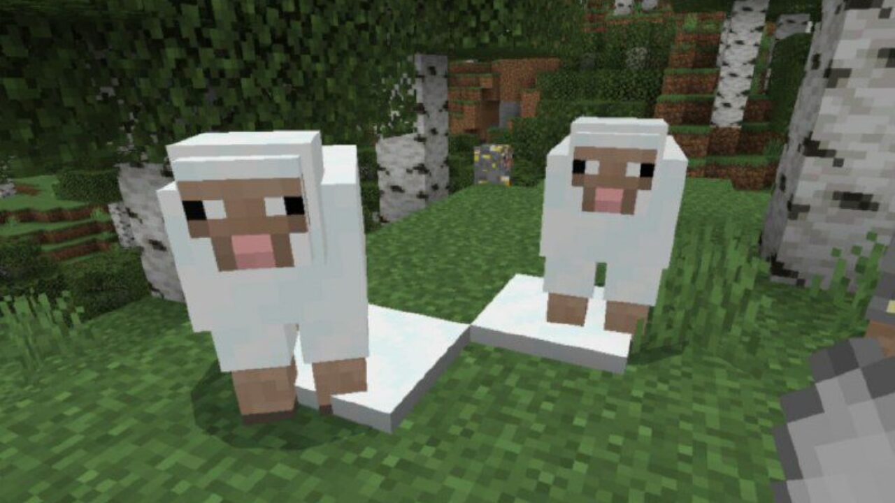 Snow from Sheeps Mod for Minecraft PE