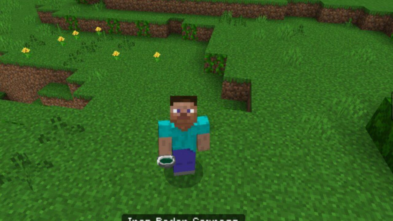 Iron from Radar Mod for Minecraft PE