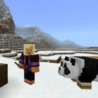 Kung Fu Panda Texture Pack for Minecraft PE