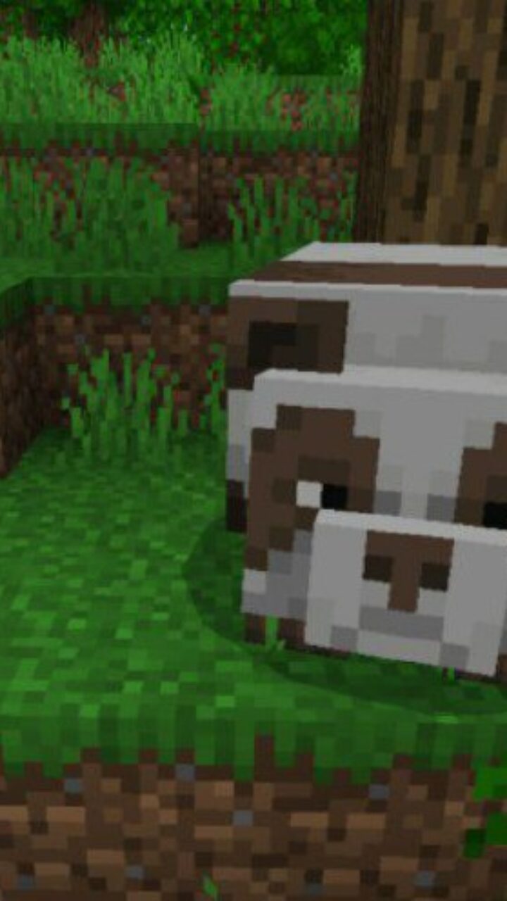 Panda from Jungle Map for Minecraft PE