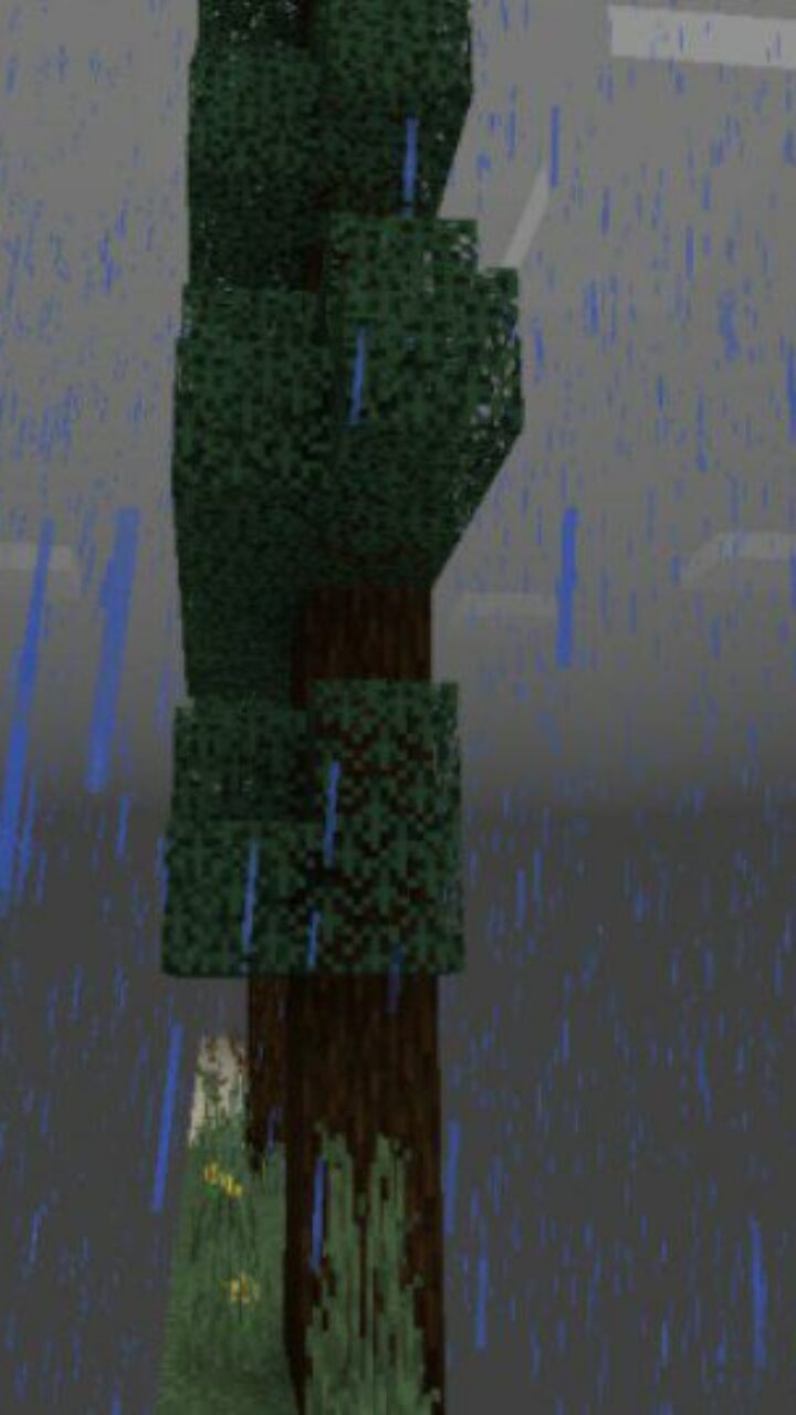 Trees from 2D Map for Minecraft PE