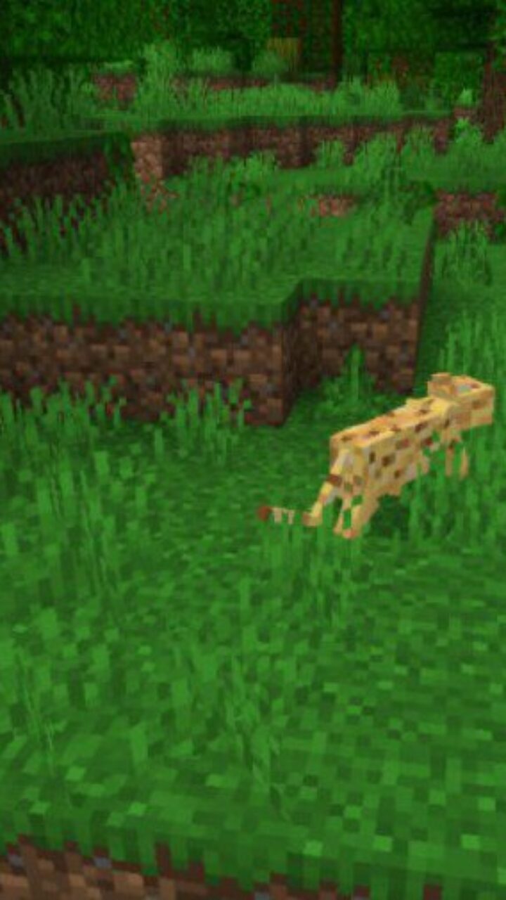 Wild Cat from Jungle Map for Minecraft PE