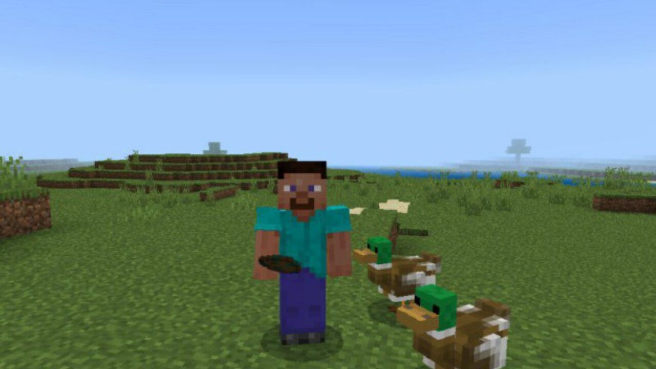 Birds from Duck Mod for Minecraft PE