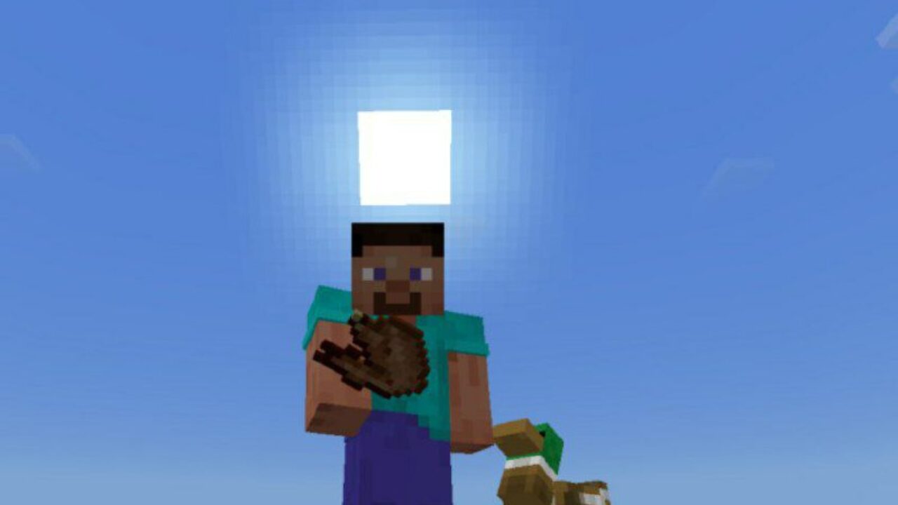 Cooked Duck from Duck Mod for Minecraft PE