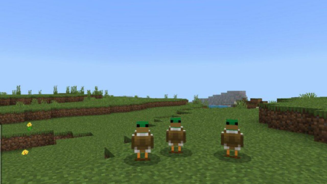 Duck Mod for Minecraft PE