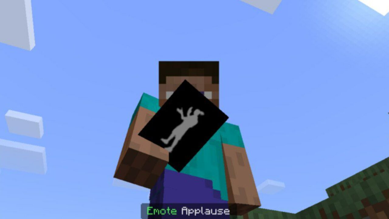 Item from Emotes Mod for Minecraft PE