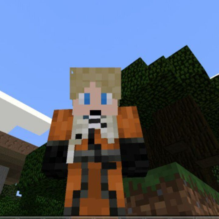 3D Skins Mod for Minecraft PE