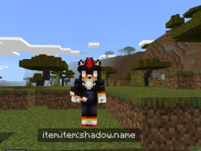 4D Skins Mod for Minecraft PE