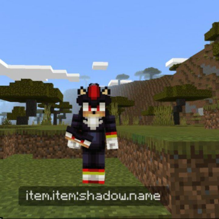 4D Skins Mod for Minecraft PE