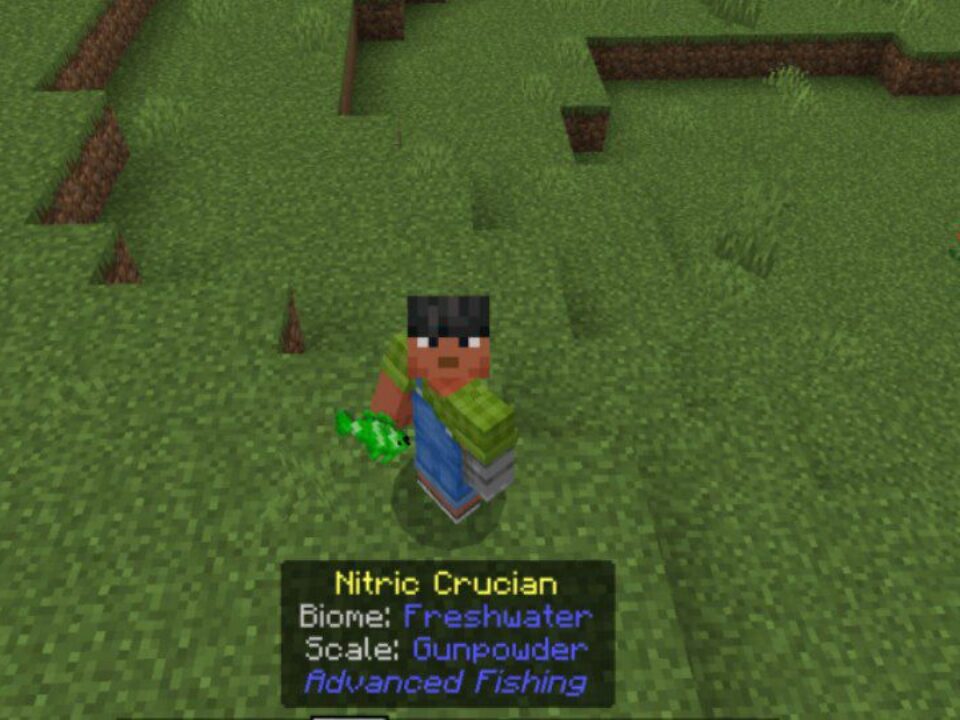Fishing Mod for Minecraft PE