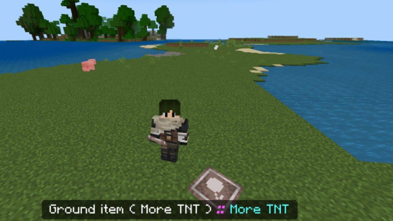 Ground Item from TNT Mod for Minecraft PE