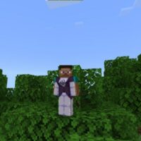 Invincible Mod for Minecraft PE