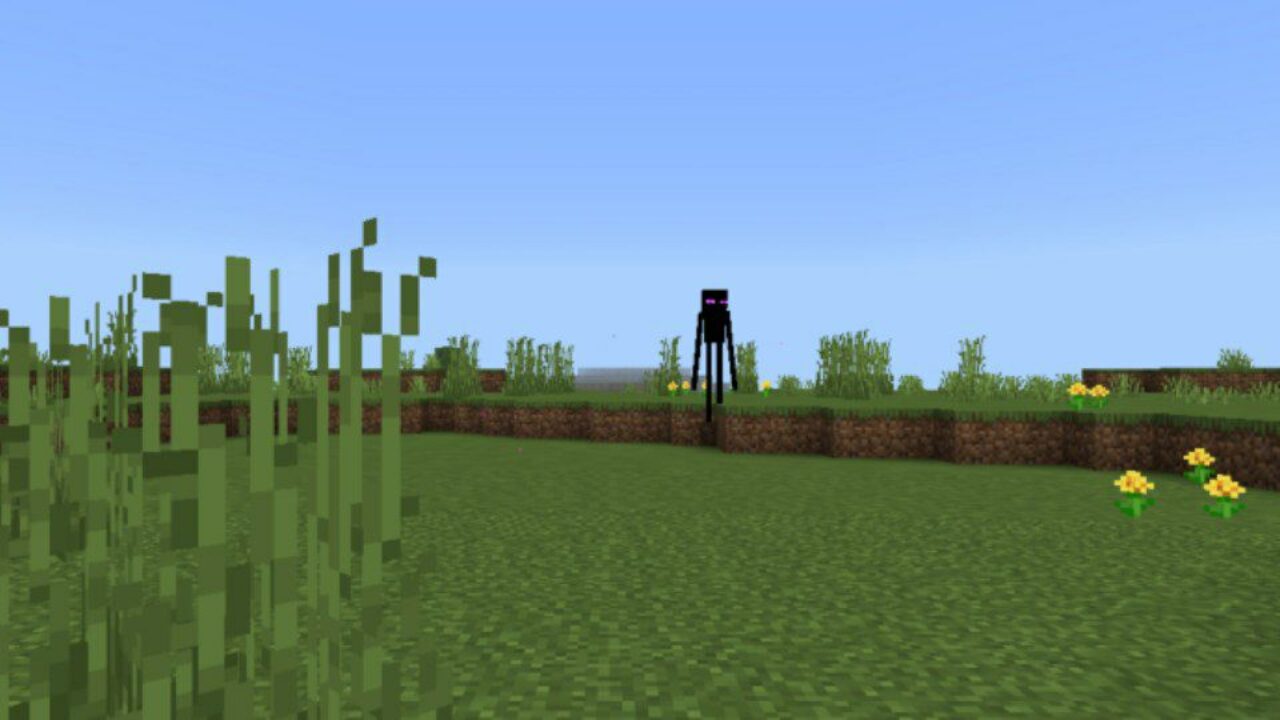 New Behavior from Enderman Mod for Minecraft PE