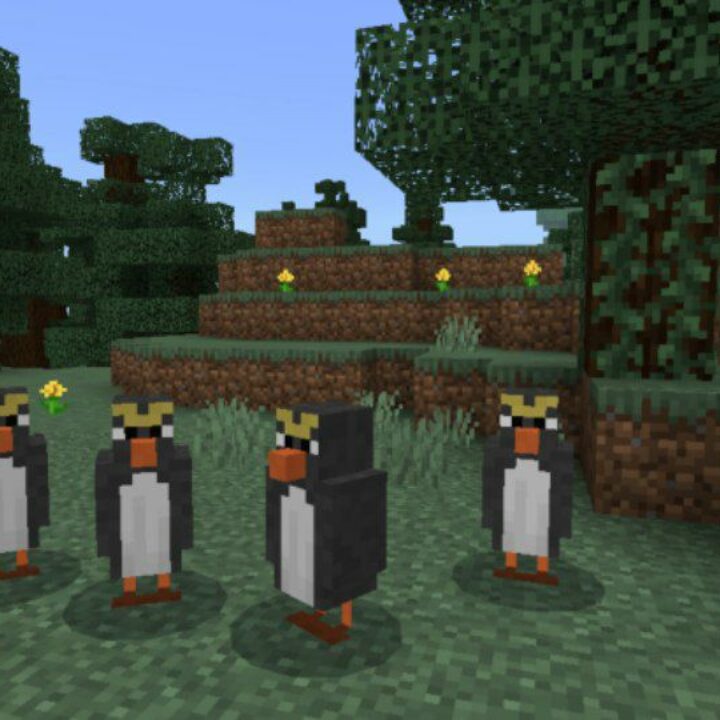 Penguin Mod for Minecraft PE