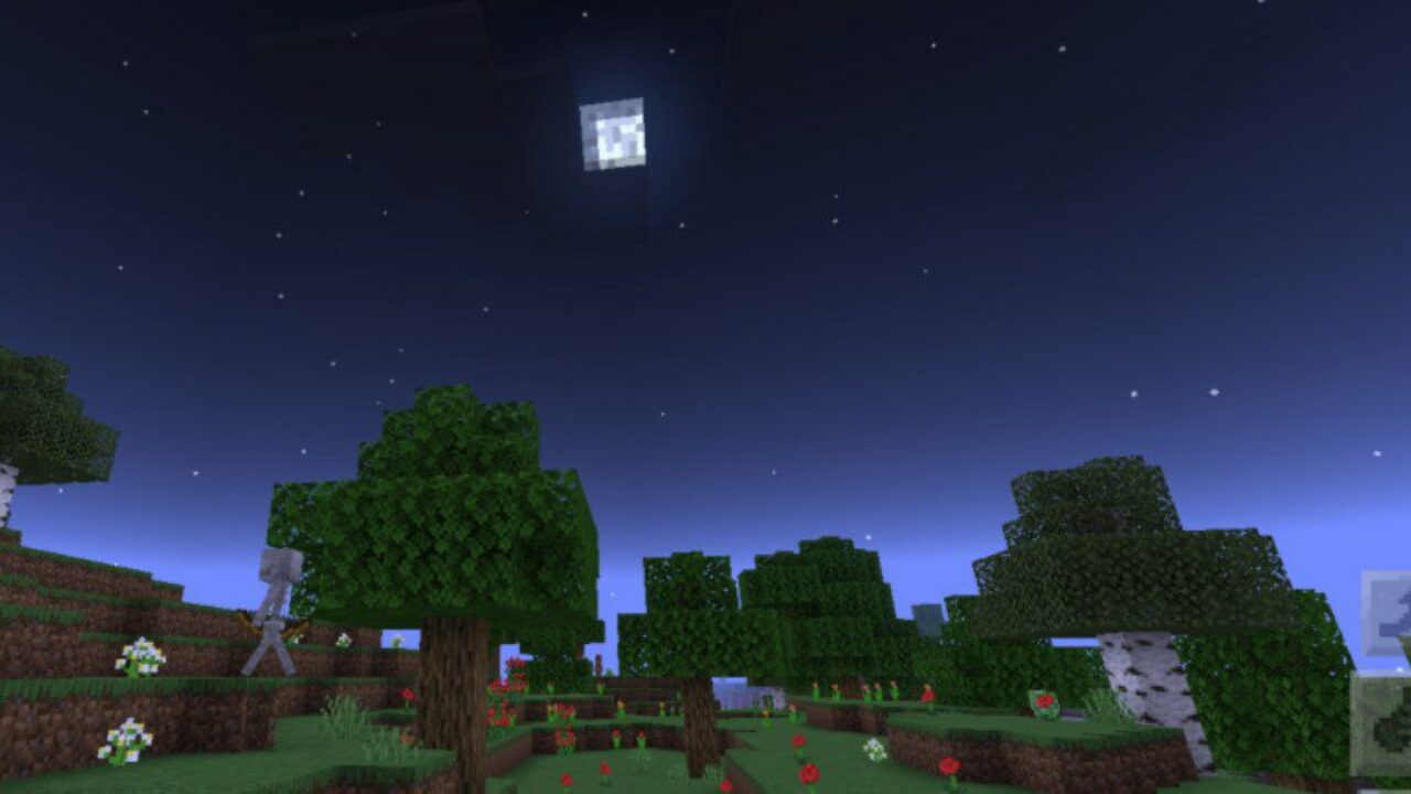 Sky from Night Vision Mod for Minecraft PE