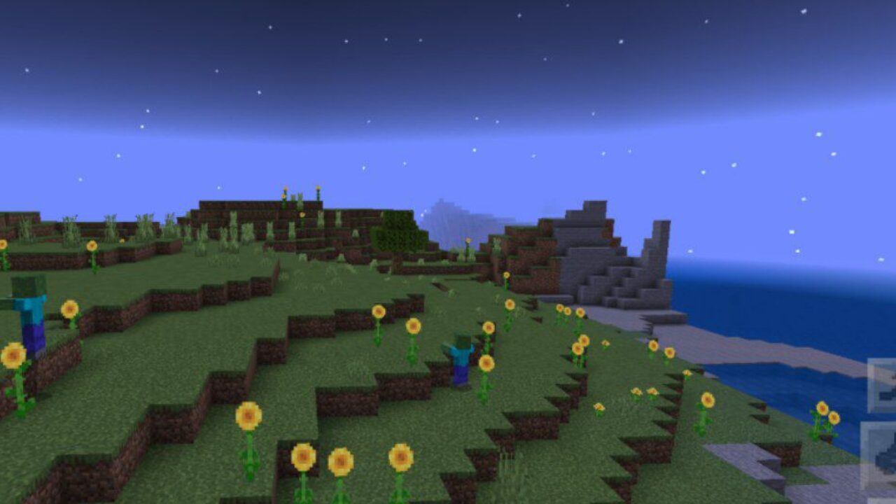 Top View from Night Vision Mod for Minecraft PE