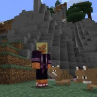 Armadillo Mod for Minecraft PE