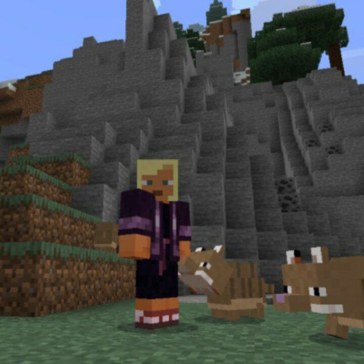 Armadillo Mod for Minecraft PE