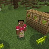 Chameleon Mod for Minecraft PE