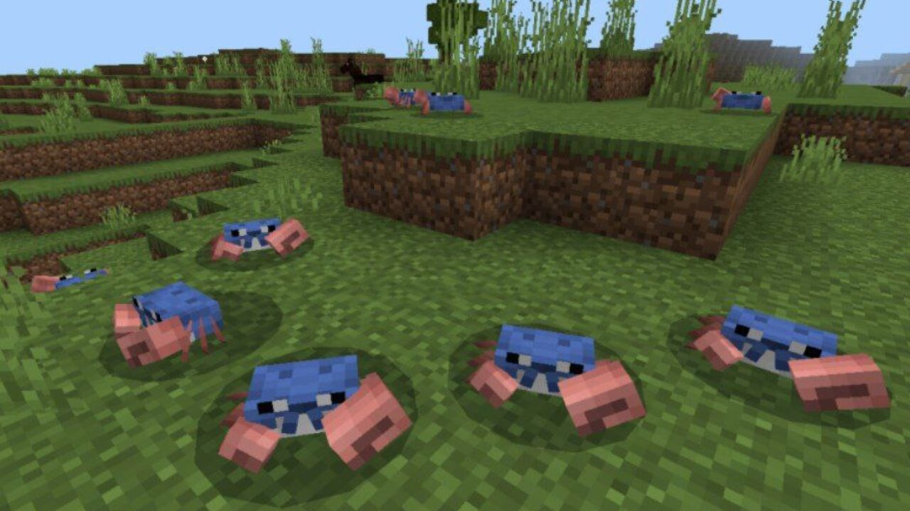 Crab Mod for Minecraft PE