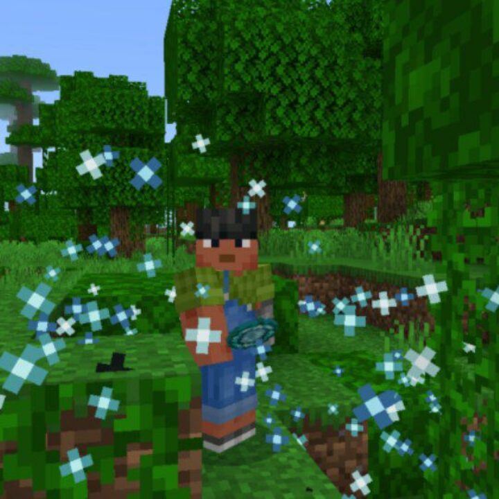 Magic Mirrors Mod for Minecraft PE