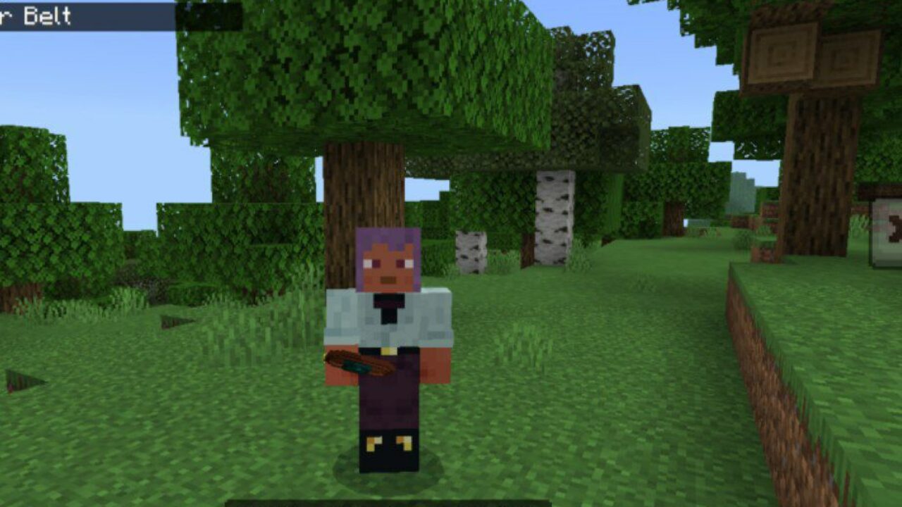 New Equipment Slots Mod for Minecraft PE