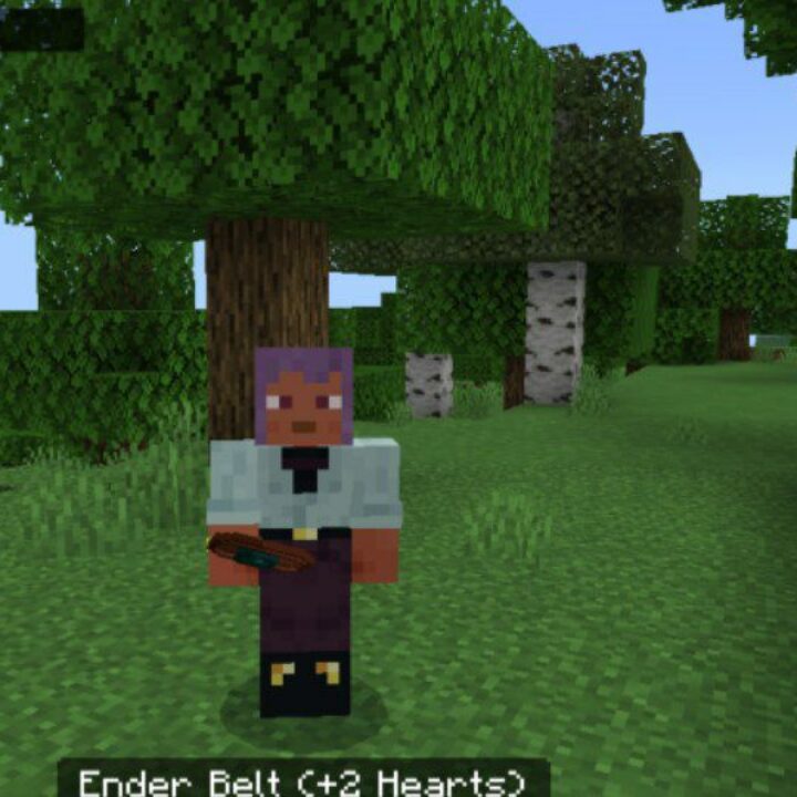 New Equipment Slots Mod for Minecraft PE