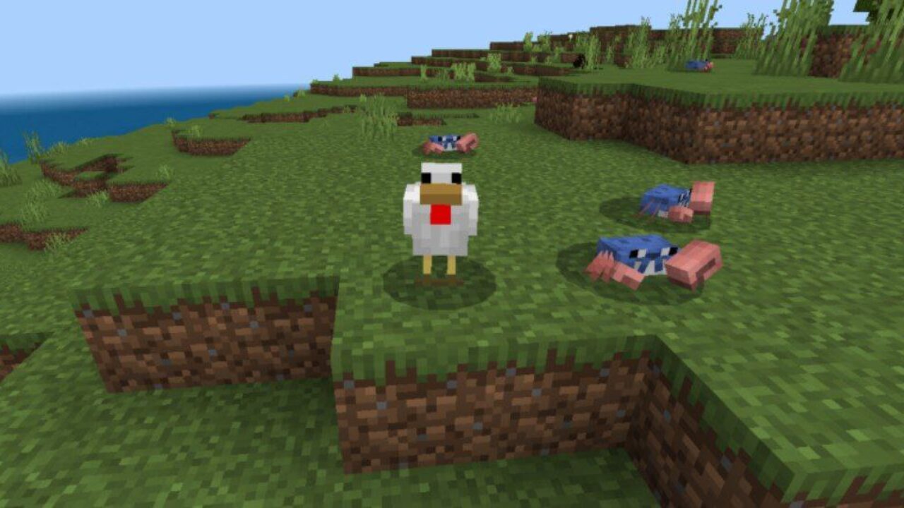 With Chicken from Crab Mod for Minecraft PE