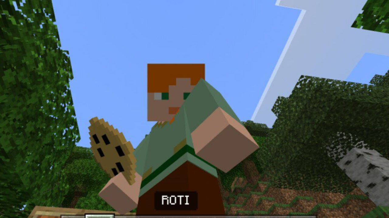 Food from Indian Roti Mod for Minecraft PE