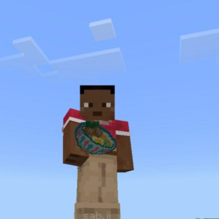 Indian Roti Mod for Minecraft PE